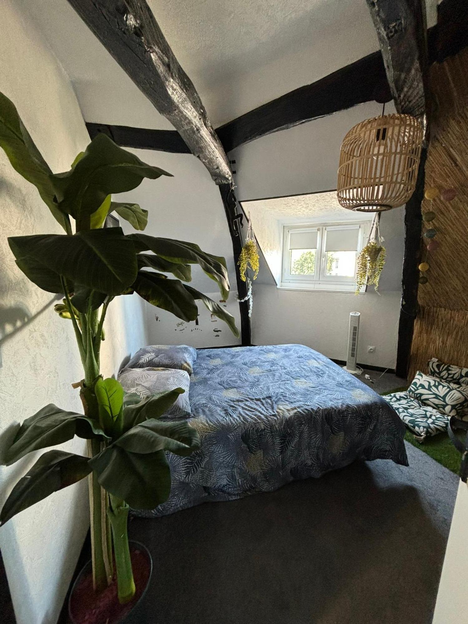 Jungle Cosy Apartamento Louviers Exterior foto