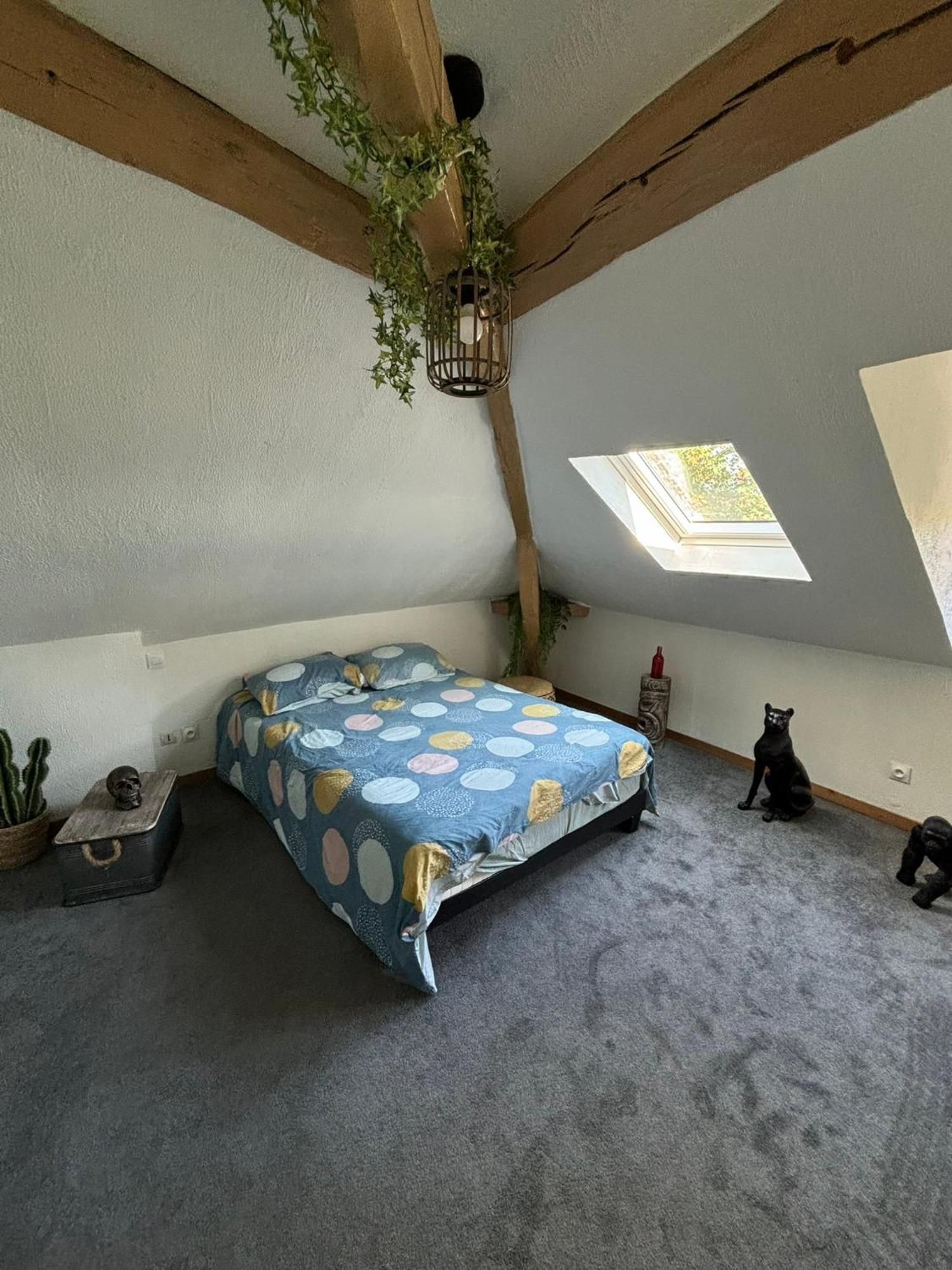 Jungle Cosy Apartamento Louviers Exterior foto
