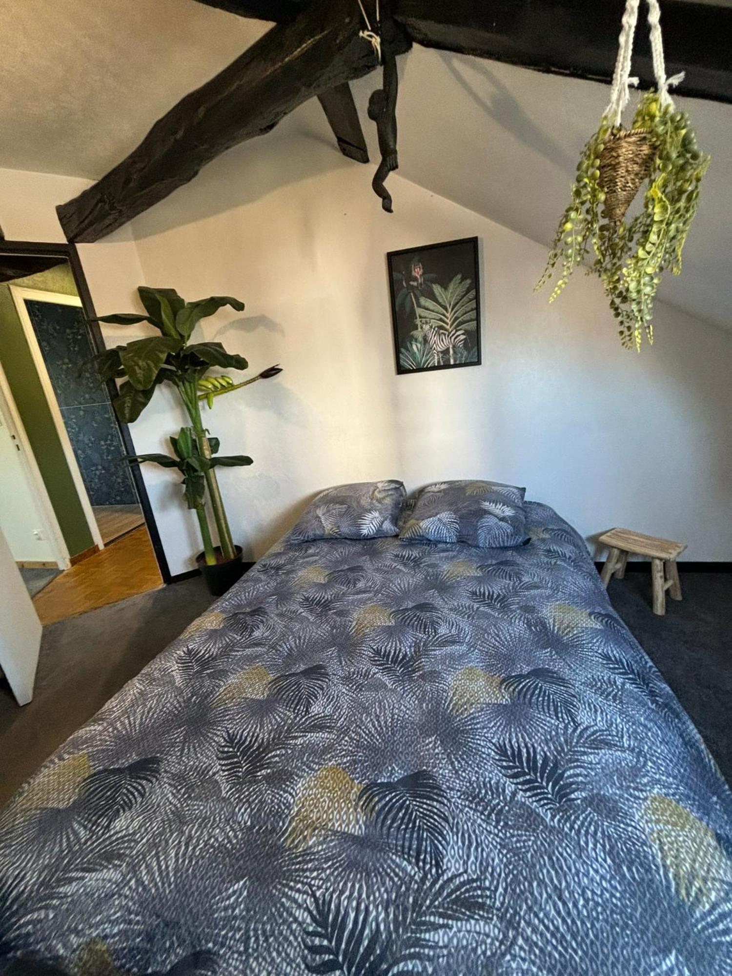 Jungle Cosy Apartamento Louviers Exterior foto